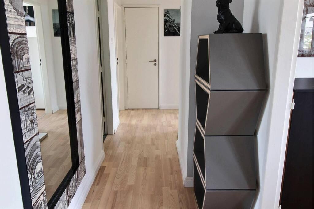 Apartmán 3 Pieces En Plein Centre De Štrasburk Exteriér fotografie